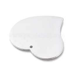 Tarnish Resistant 304 Stainless Steel Pendants&nbsp;STAS-L238-100A-P