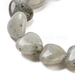 Natural Labradorite Beads Strands&nbsp;G-B022-32C