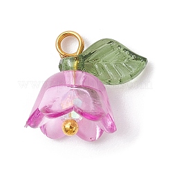 Transparent Acrylic Beads Pendants&nbsp;PALLOY-JF02432