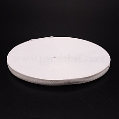 Polyester Ribbon&nbsp;LS-OCOR-WH0072-04G