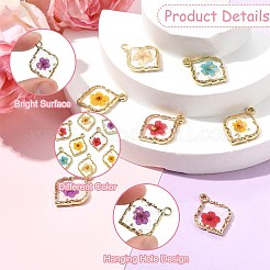 10Pcs 5 Colors Zinc Alloy Epoxy Resin Pendants&nbsp;FIND-CJ0004-93