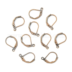 Brass Leverback Earring Findings&nbsp;EC223-R