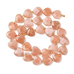Natural Sunstone Beads Strands&nbsp;G-L654-M06-01