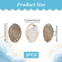 Natural Abalone Shell Display Decoration&nbsp;DJEW-WH0015-105