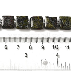 Natural Dragon Blood Jasper Beads Strands&nbsp;G-L596-A06-01