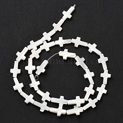 Natural White Shell Beads Strands&nbsp;SSHEL-F0812C