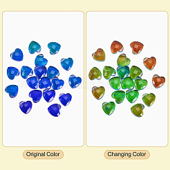 Glass Charms&nbsp;GLAA-TAC0012-28B