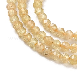 Natural Yellow Apatite Beads Strands&nbsp;G-N342-20B-01