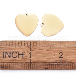 304 Stainless Steel Pendants&nbsp;STAS-I140-10A-G