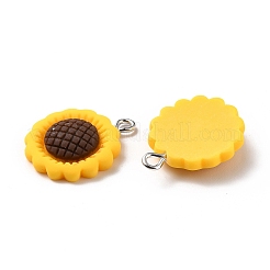 Resin Pendants&nbsp;LS-X-RESI-C002-27
