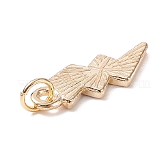 Alloy Enamel Pendants&nbsp;PALLOY-JF01654