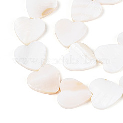 Natural Freshwater Shell Beads Strands&nbsp;SHEL-T020-31