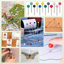 600Pcs 12 Colors Round Stainless Steel Drawing Pins&nbsp;FIND-PH0022-27A