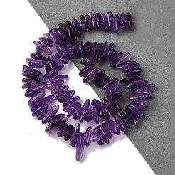 Natural Amethyst Beads Strands&nbsp;G-K220-04-01