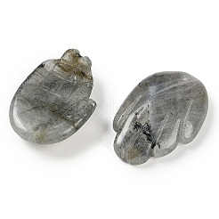 Natural Labradorite Pendants&nbsp;G-K359-03E