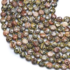 Natural Leopard Skin Jasper Beads Strands&nbsp;G-K389-B17-01