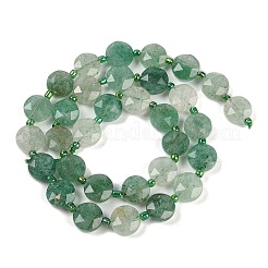 Natural Green Strawberry Quartz Beads Strands&nbsp;G-C116-A34-01