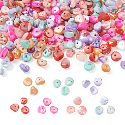 280Pcs 7 Colors Natural Freshwater Shell Beads&nbsp;SHEL-FW0001-02