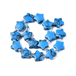 Synthetic Turquoise Dyed Beads Strands&nbsp;G-T138-193