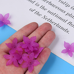 Transparent Acrylic Beads&nbsp;MACR-S373-127-D07
