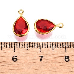 K9 Glass Charms&nbsp;GLAA-T023-10B
