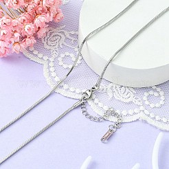 304 Stainless Steel Snake Chain Necklace for Men Women&nbsp;NJEW-YW0001-10