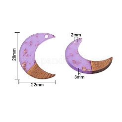 Transparent Resin & Walnut Wood Pendants&nbsp;RESI-CJ0001-79