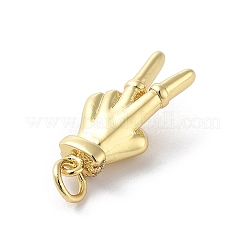 Rack Plating Palm Brass Micro Pave Cubic Zirconia Pendants&nbsp;KK-E102-18G-05