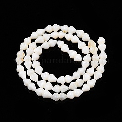Natural Freshwater Shell Beads Strands&nbsp;SHEL-N036-02