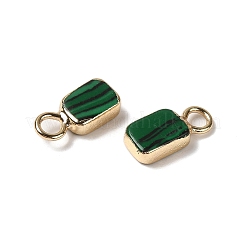 Synthetic Malachite Rectangle Charms&nbsp;G-Q169-07G-03-01