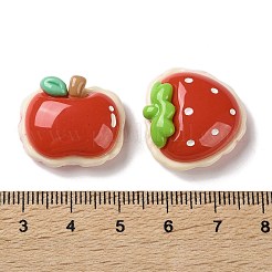 Opaque Resin Cabochons&nbsp;CRES-D326-02
