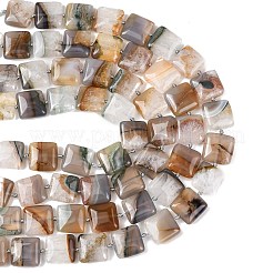 Natural Agate Beads Strands&nbsp;G-L654-E01-01