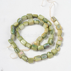 Natural Shell Beads Strands&nbsp;PBB073Y