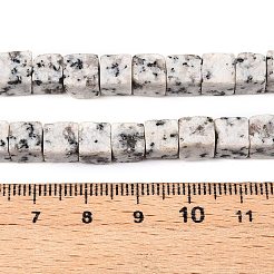 Natural White Sesame Jasper Beads Strands&nbsp;G-T139-6x6-33A