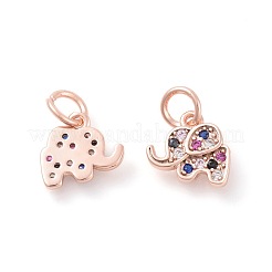 Brass Micro Pave Cubic Zirconia Charms&nbsp;ZIRC-F106-08