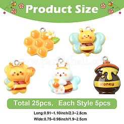 25Pcs 5 Styles Opaque Resin Pendants&nbsp;RESI-YW0006-16