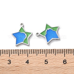 304 Stainless Steel Enamel Charms&nbsp;STAS-M102-20P-03