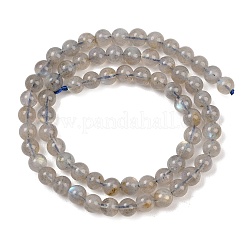Natural Labradorite Beads Strands&nbsp;G-H337-A02-02