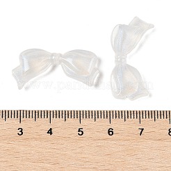 Transparent Acrylic Beads&nbsp;LS-TACR-F009-01B