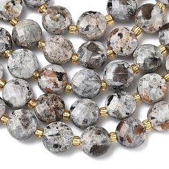 Natural Syenite Beads Strands&nbsp;G-K389-B86-01