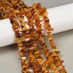 Natural Amber Chip Beads Strands&nbsp;G-E271-81-01
