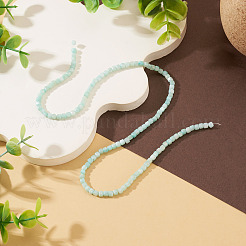 1 Strand Natural Freshwater Shell Dyed Beads Strands&nbsp;SHEL-TA0001-44A