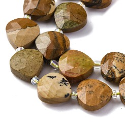 Natural Picture Jasper Beads Strands&nbsp;G-P570-E09-02