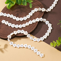 2 Strands Natural Freshwater Shell Beads Strands&nbsp;SHEL-TA0001-45