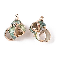 Natural Sea Shell Pendants&nbsp;SSHEL-N038-55