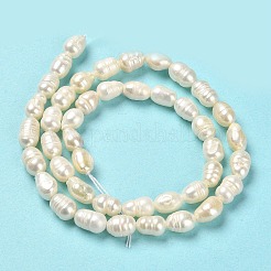 Natural Cultured Freshwater Pearl Beads Strands&nbsp;PEAR-E016-166