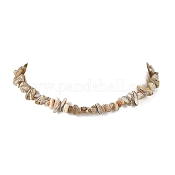 Natural Freshwater Shell Chip Beaded Necklaces&nbsp;NJEW-JN06271