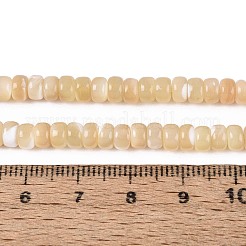 Natural Trochid Shell/Trochus Shell Beads Strands&nbsp;BSHE-T014-54B