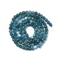 Natural Apatite Beads Strands&nbsp;G-G189-D16-02