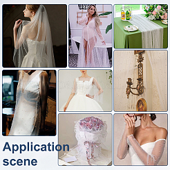 2Pcs Nylon Lace Fabric&nbsp;DIY-PH0029-43A